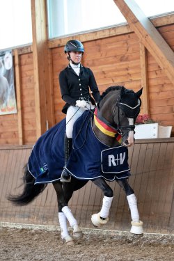 Valido`s Grey l`Amour G | Hengststation Gudrun Gernholt