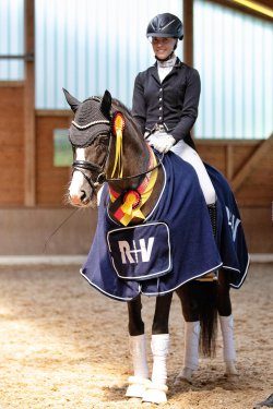 Valido`s Grey l`Amour G | Hengststation Gudrun Gernholt