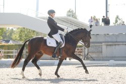 Dancing in the Moonlight AT - Aachen 2