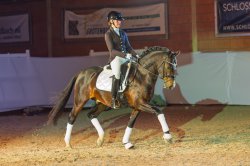 Dancing in the Moonlight AT - Wickrath Trabbild 2