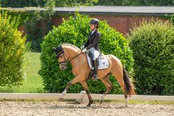 Dos Maderas G - Trabbild