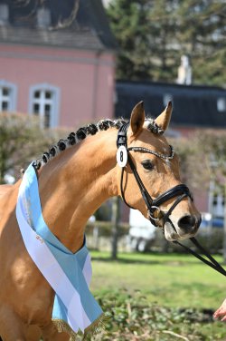 Dos Maderas G - Kopfbild 2