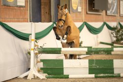 Dos Maderas G - Freispringen