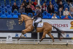 Dos Maderas G - Galoppbild 1