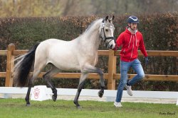 Giant Step J - Trabbild2