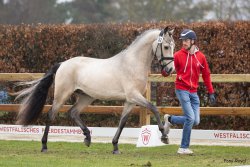 Giant Step J - Trabbild3