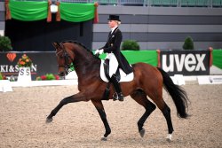 Kieferhof's Imperius - Trabbild 1