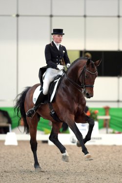 Kieferhof's Imperius - Galoppbild 1