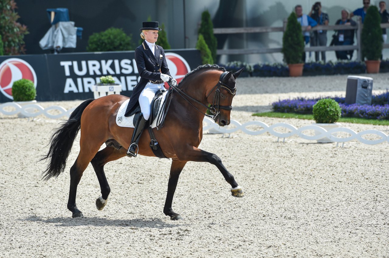 Kiefferhof's Imperius - CHIO Aachen