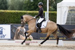 New Planet RB - WW Galoppbild 2