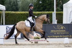 New Planet RB - WW Galoppbild 1