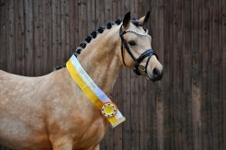 New Planet RB - Kopfbild 1