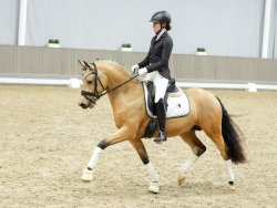 New Planet RB - Trabbild 2