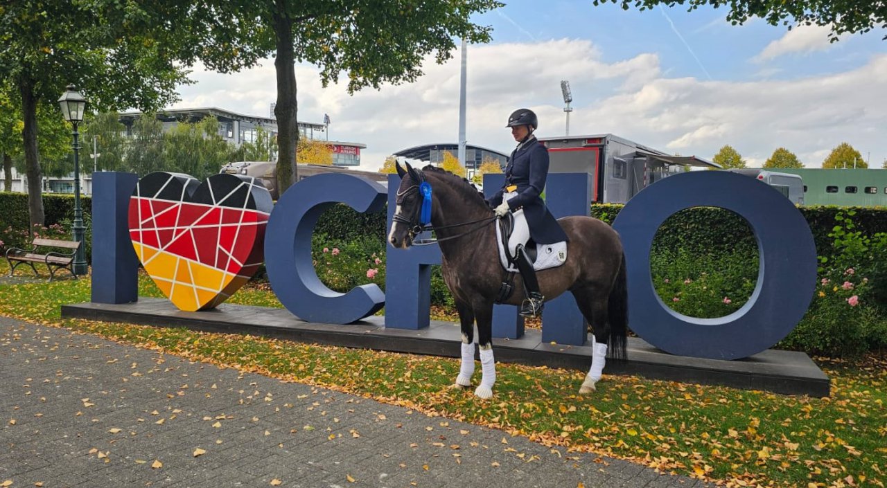 Valido's Grey Star G - Aachen 
