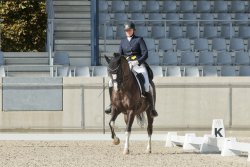 Valido's Grey Star G - Aachen Galoppbild