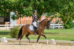 Valido's Last l'Amour G - Trabbild 1