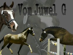 Vom Juwel G | Hengststation Gudrun Gernholt