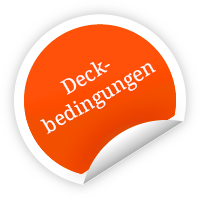 Deckbedingungen Hengststation Gudrun Gernholt